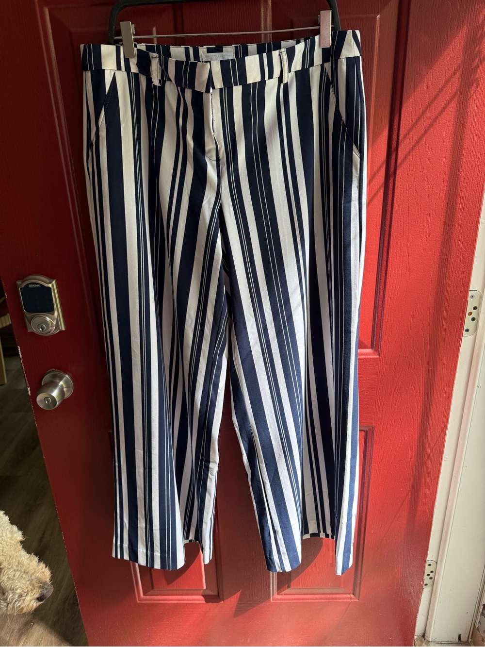 New York & Company Navy and White Vertical Stripe Chinos